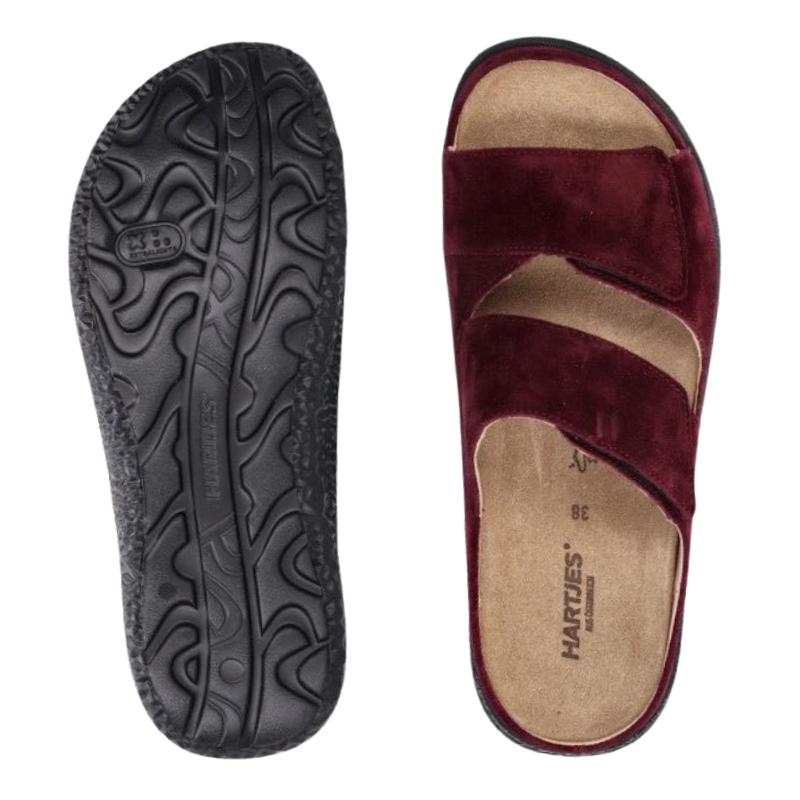 Hartjes mule femme - Aubergine
