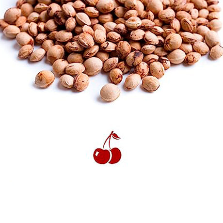 Heating Pad with Cherry Stones, 25x30 cm